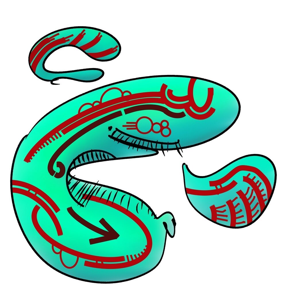 Floating_Lines.jpg